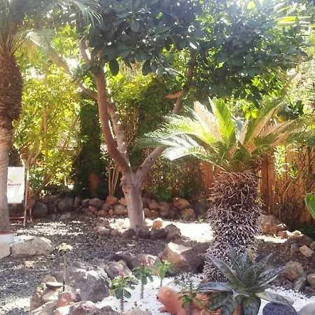 Casa vacanze Casita Techo - A48793 Guía de Isora